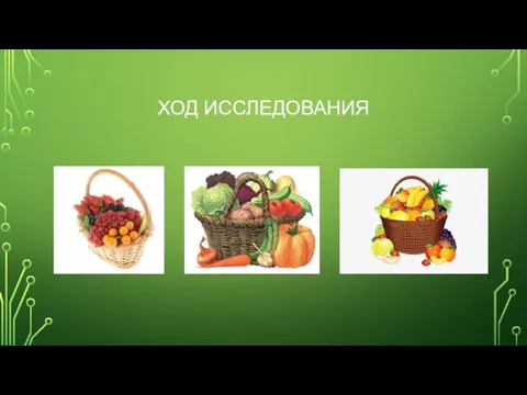 ХОД ИССЛЕДОВАНИЯ