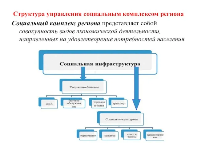 Структура управления социальным комплексом региона Социальный комплекс региона представляет собой совокупность видов