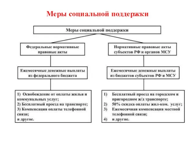 Меры социальной поддержки