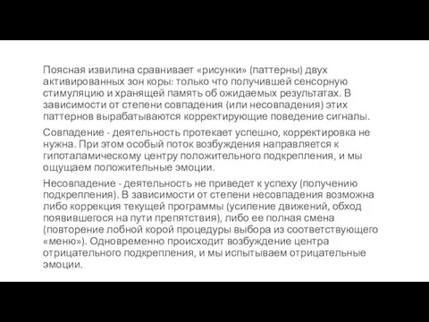 Поясная извилина сравнивает «рисунки» (паттерны) двух активированных зон коры: только что получившей