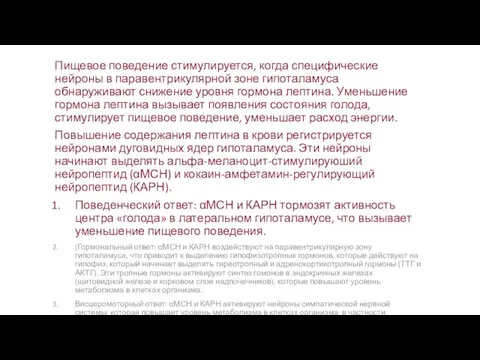 Пищевое поведение стимулируется, когда специфические нейроны в паравентрикулярной зоне гипоталамуса обнаруживают снижение