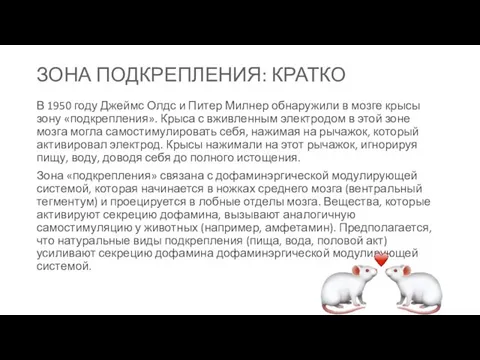 В 1950 году Джеймс Олдс и Питер Милнер обнаружили в мозге крысы