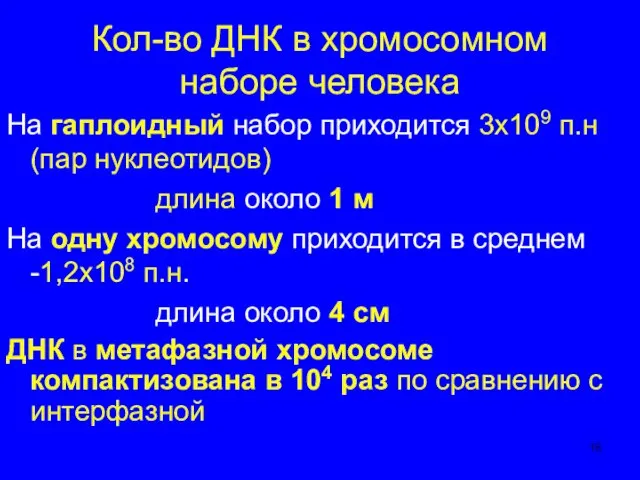 Кол-во ДНК в хромосомном наборе человека На гаплоидный набор приходится 3х109 п.н