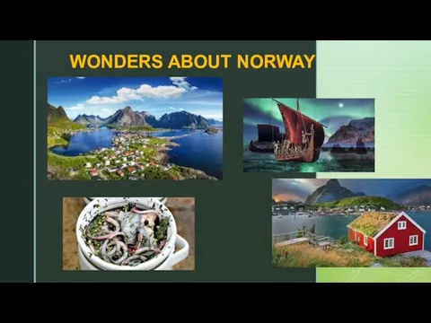 WONDERS ABOUT NORWAY