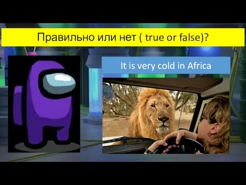 Правильно или нет ( true or false)? It is very cold in Africa