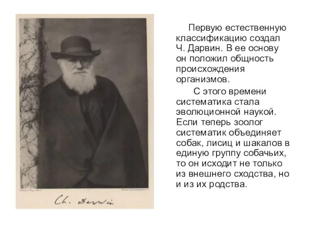 Первую естественную классификацию создал Ч. Дарвин. В ее основу он положил общность