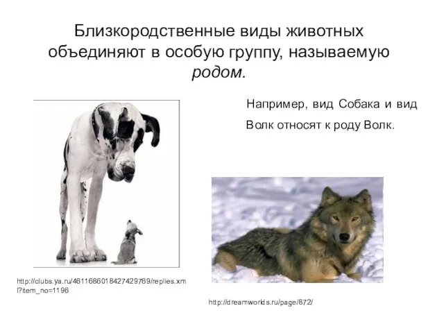 Например, вид Собака и вид Волк относят к роду Волк. http://dreamworlds.ru/page/872/ http://clubs.ya.ru/4611686018427429769/replies.xml?item_no=1196