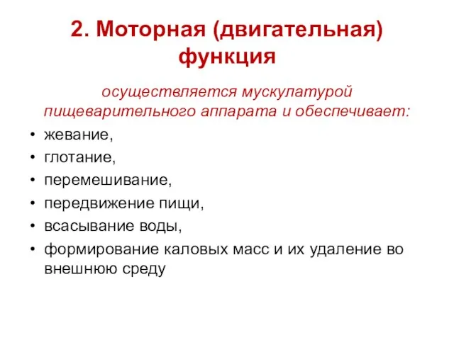 2. Моторная (двигательная) функция осуществляется мускулатурой пищеварительного аппарата и обеспечивает: жевание, глотание,