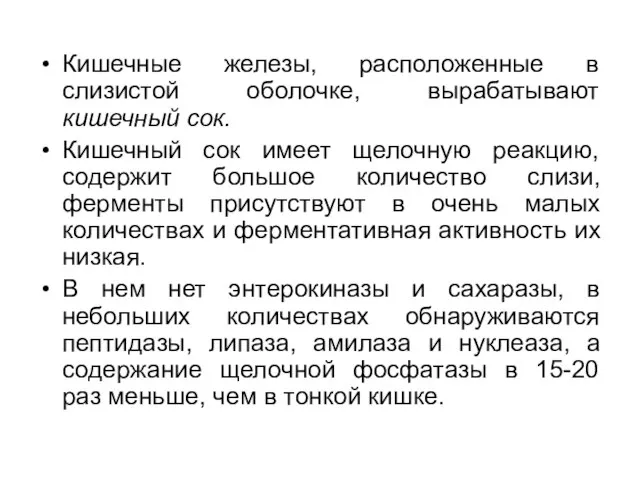 Кишечные железы, расположенные в слизистой оболочке, вырабатывают кишечный сок. Кишечный сок имеет