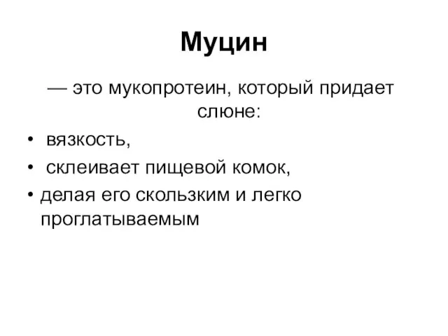 Муцин — это мукопротеин, который придает слюне: вязкость, склеивает пищевой комок, делая