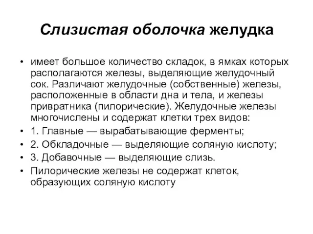 Слизистая оболочка желудка имеет большое количество складок, в ямках которых располагаются железы,