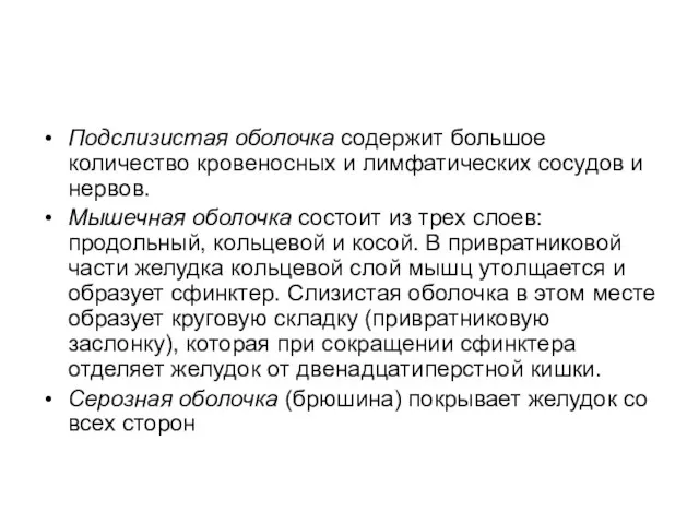 Подслизистая оболочка содержит большое количество кровеносных и лимфатических сосудов и нервов. Мышечная