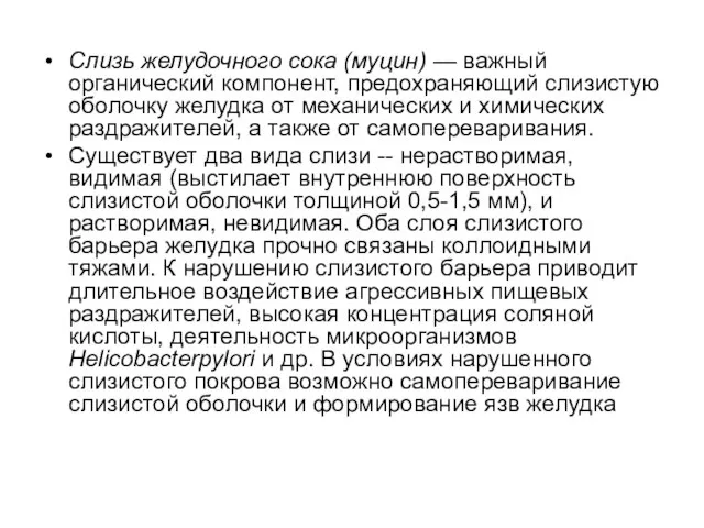 Слизь желудочного сока (муцин) — важный органический компонент, предохраняющий слизистую оболочку желудка