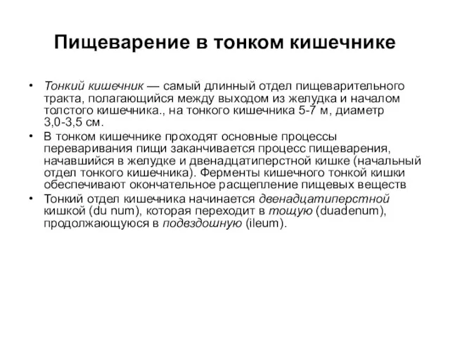 Пищеварение в тонком кишечнике Тонкий кишечник — самый длинный отдел пищеварительного тракта,