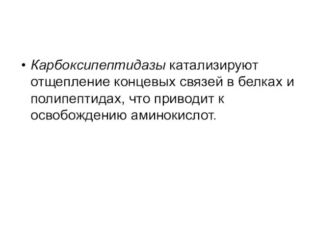 Карбоксипептидазы катализируют отщепление концевых связей в белках и полипептидах, что приводит к освобождению аминокислот.