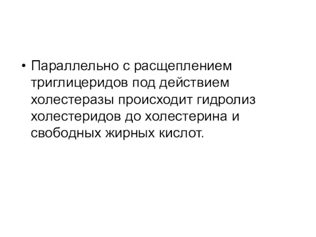 Параллельно с расщеплением триглицеридов под действием холестеразы происходит гидролиз холестеридов до холестерина и свободных жирных кислот.