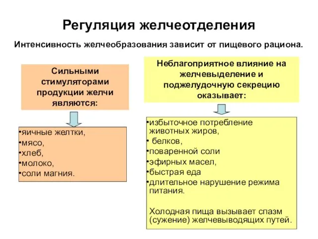 Регуляция желчеотделения Интенсивность желчеобразования зависит от пищевого рациона. Сильными стимуляторами продукции желчи