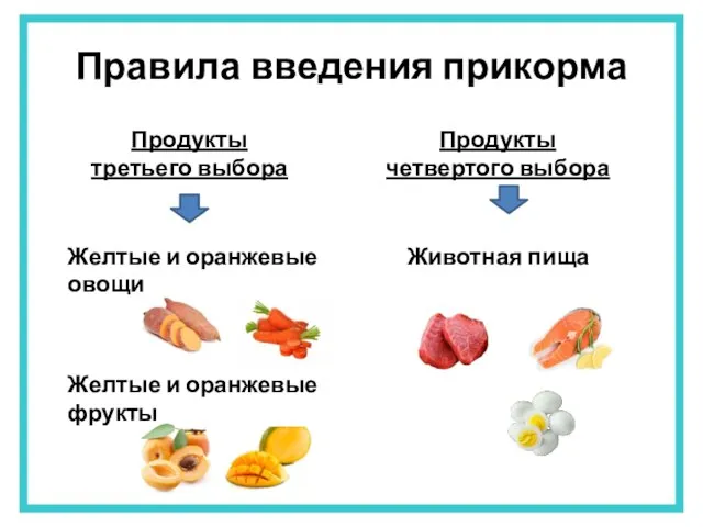 Правила введения прикорма Продукты третьего выбора Продукты четвертого выбора Желтые и оранжевые