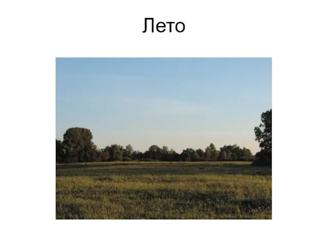 Лето