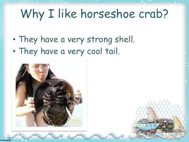 Why I like horseshoe crab? They have a very strong shell. They