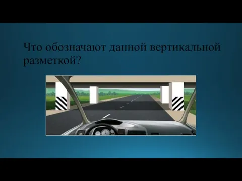 Что обозначают данной вертикальной разметкой?