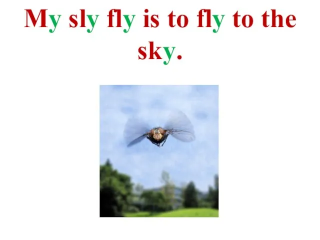 My sly fly is to fly to the sky.