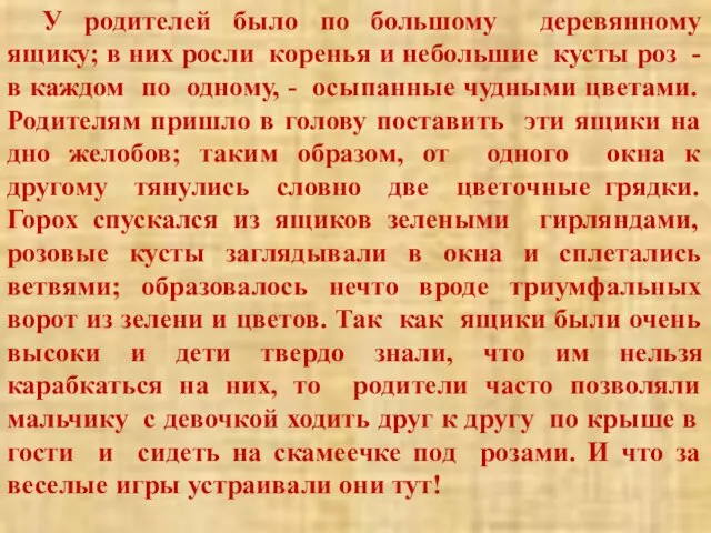 У родителей было по большому деревянному ящику; в них росли коренья и