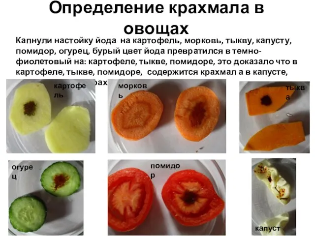 Определение крахмала в овощах Капнули настойку йода на картофель, морковь, тыкву, капусту,