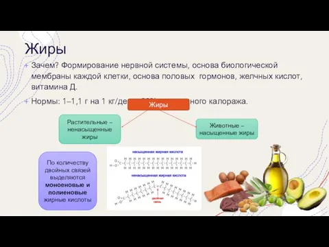 Жиры Зачем? Формирование нервной системы, основа биологической мембраны каждой клетки, основа половых