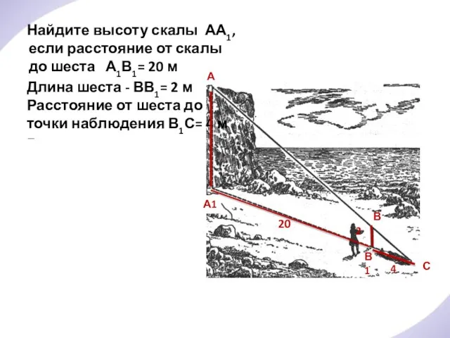 Найдите высоту скалы АА1, если расстояние от скалы до шеста А1В1= 20