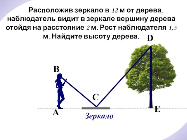 Расположив зеркало в 12 м от дерева, наблюдатель видит в зеркале вершину
