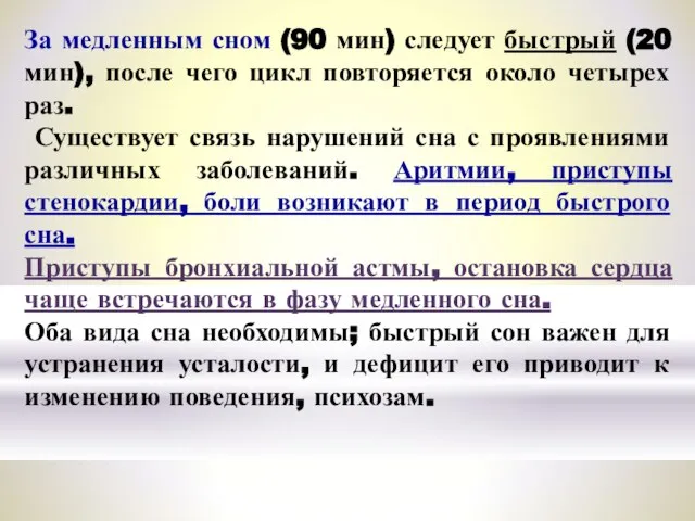 За медленным сном (90 мин) следует быстрый (20 мин), после чего цикл