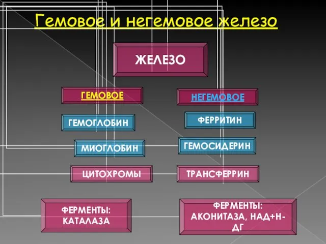 Гемовое и негемовое железо