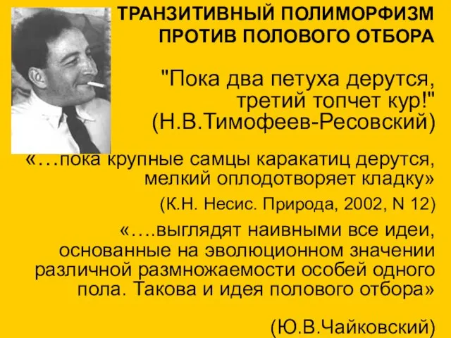 "Пока два петуха дерутся, третий топчет кур!" (Н.В.Тимофеев-Ресовский) «…пока крупные самцы каракатиц