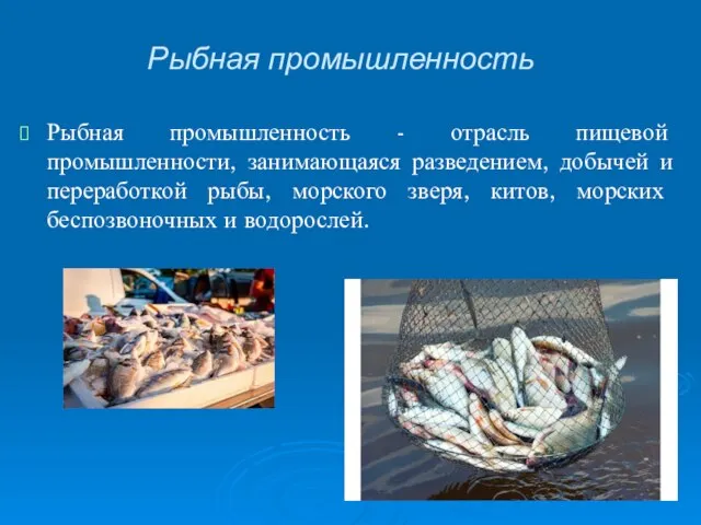 Рыбная промышленность - отрасль пищевой промышленности, занимающаяся разведением, добычей и переработкой рыбы,