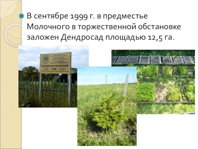 В сентябре 1999 г. в предместье Молочного в торжественной обстановке заложен Дендросад площадью 12,5 га.