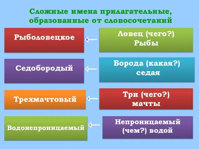 Сложные имена прилагательные, образованные от словосочетаний Рыболовецкое Седобородый Трехмачтовый Водонепроницаемый Ловец (чего?)