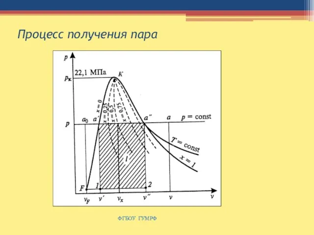 Процесс получения пара ФГБОУ ГУМРФ