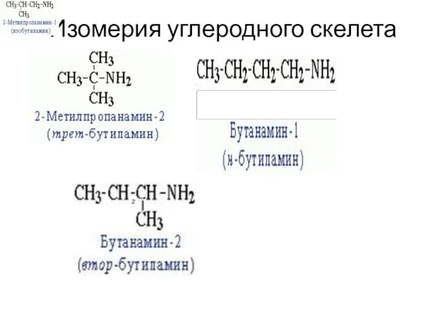 Изомерия углеродного скелета