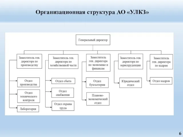 Организационная структура АО «УЛКЗ» 6