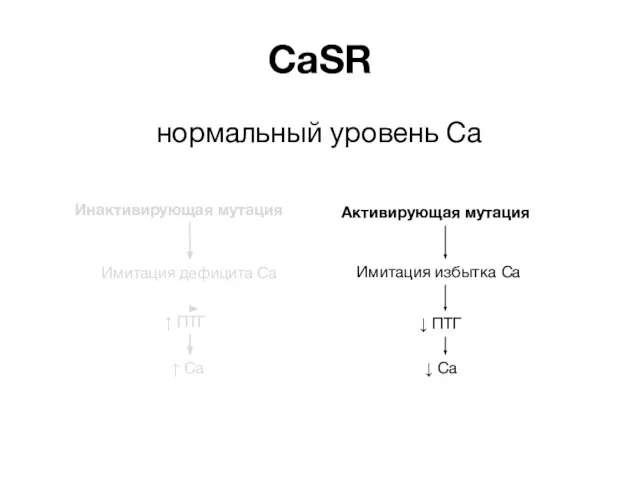 CaSR нормальный уровень Ca Имитация избытка Ca ↓ ПТГ ↓ Ca Имитация