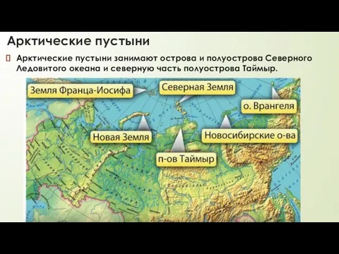 Арктические пустыни Арктические пустыни занимают острова и полуострова Северного Ледовитого океана и северную часть полуострова Таймыр.