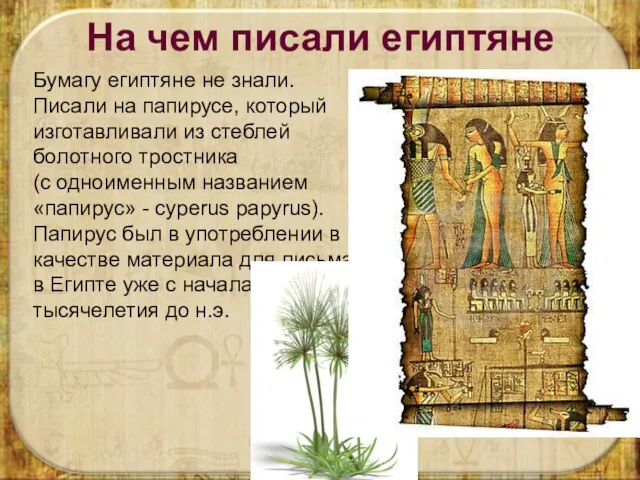 На чем писали египтяне Бумагу египтяне не знали. Писали на папирусе, который