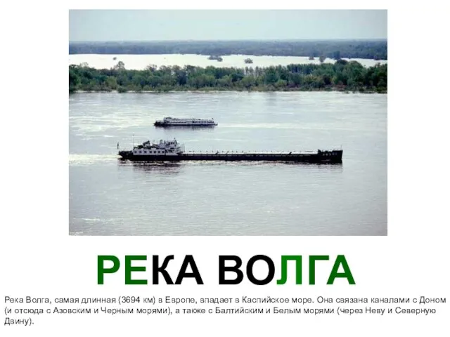 РЕКА ВОЛГА Река Волга, самая длинная (3694 км) в Европе, впадает в