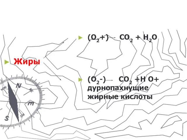 Жиры (О2+) СО2 + Н2О (О2-) СО2 +Н О+ дурнопахнущие жирные кислоты