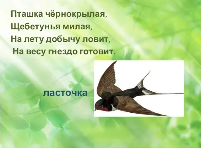 Пташка чёрнокрылая, Щебетунья милая, На лету добычу ловит, На весу гнездо готовит.