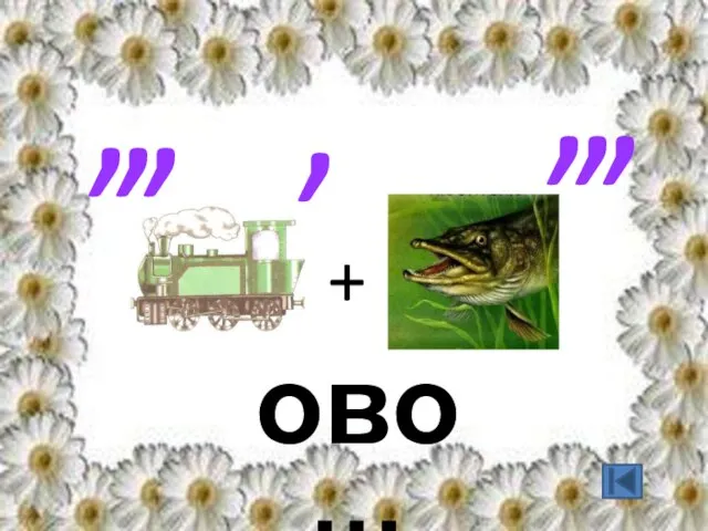 овощ , , , , , , , +