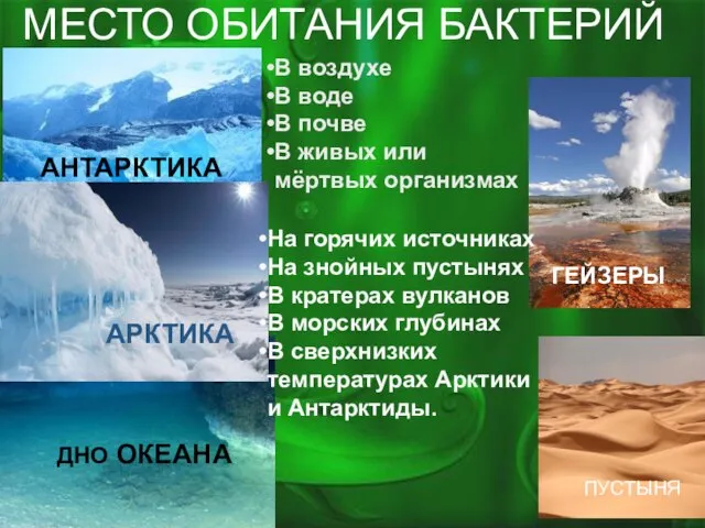 МЕСТО ОБИТАНИЯ БАКТЕРИЙ АНТАРКТИКА ДНО ОКЕАНА АРКТИКА ГЕЙЗЕРЫ В воздухе В воде