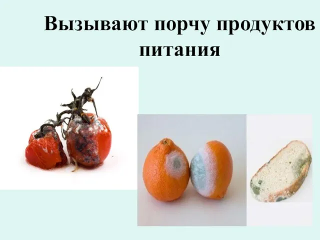 Вызывают порчу продуктов питания