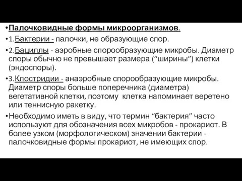 Палочковидные формы микроорганизмов. 1.Бактерии - палочки, не образующие спор. 2.Бациллы - аэробные